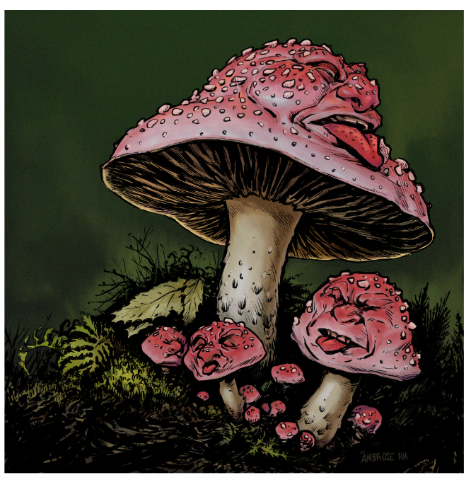 The Bright Day Mushroom